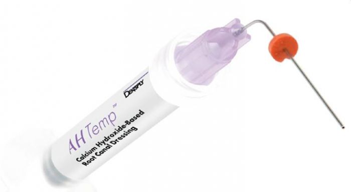 Материал для пломбирования Dentsply АH Temp Cannula Refil 